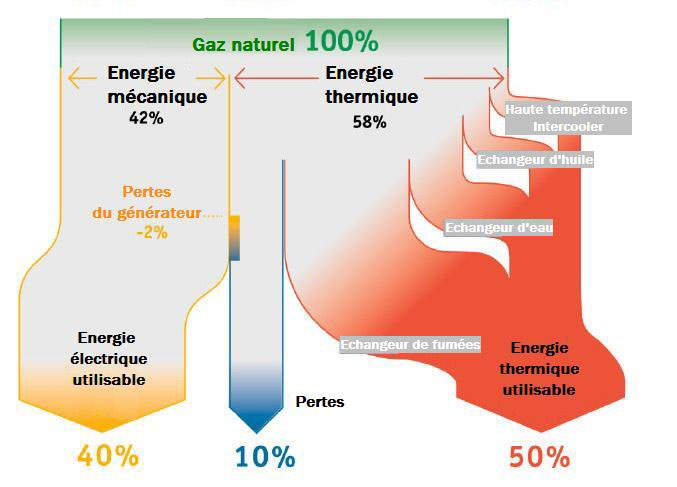 Pourcentage utilisation gaz naturel en cogénération